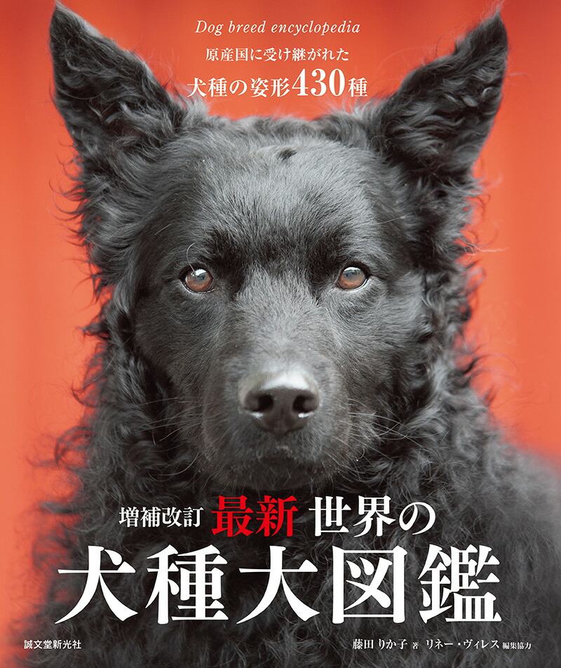 楽天ブックス 増補改訂 最新 世界の犬種大図鑑 原産国に受け継がれた犬種の姿形 430種 藤田 りか子 本 楽天ブックス 増補改訂 最新 世界の犬種大図鑑 原産国に受け継がれた犬種の姿形 430種 藤田 りか子 本